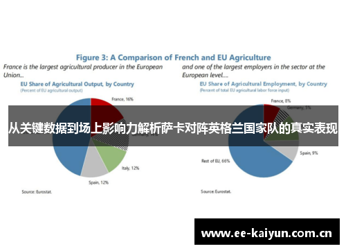 从关键数据到场上影响力解析萨卡对阵英格兰国家队的真实表现